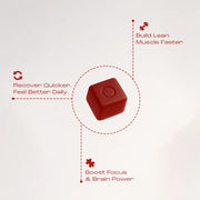 Daily Creatine Gummy