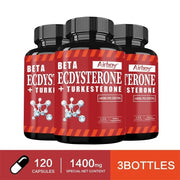 Beta Ecdysterone and Turkesterone Supplements - Muscle Mass Increase, Anabolic Activity Support, Muscle Developmentsupplements