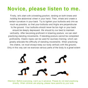 Abdominal Wheel Roller No Noise Home Gym Roller Gymnastic Wheel Fitness Abdominal Training Sports Equipment for Home Gym Muscle