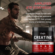 Catfit Creatine Monohydrate Sports Drink Improve Gain Strength Build Muscle&Enhance Athletic Muscle Protein Gym Performance