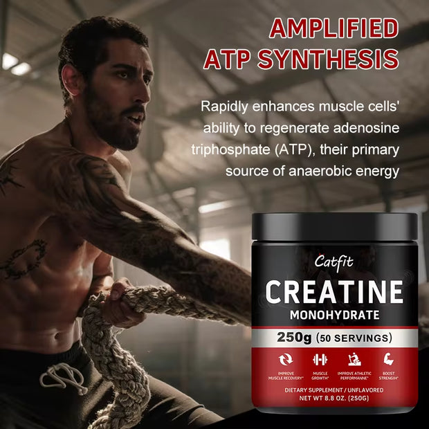 Catfit Creatine Monohydrate Sports Drink Improve Gain Strength Build Muscle&Enhance Athletic Muscle Protein Gym Performance