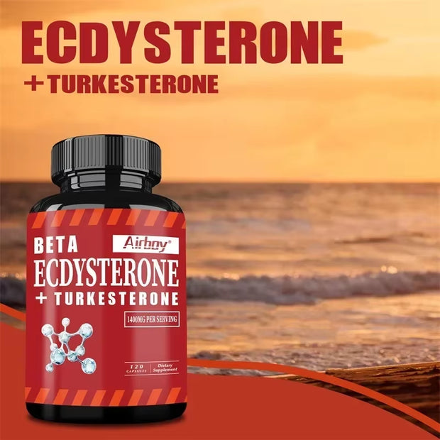 Beta Ecdysterone and Turkesterone Supplements - Muscle Mass Increase, Anabolic Activity Support, Muscle Developmentsupplements