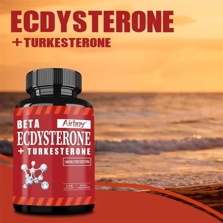 Beta Ecdysterone and Turkesterone Supplements - Muscle Mass Increase, Anabolic Activity Support, Muscle Developmentsupplements